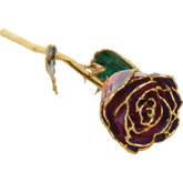 24K Solid Gold Rose- Purple and Pink